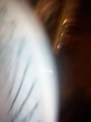 Plato de porcelana con diseño de frutas