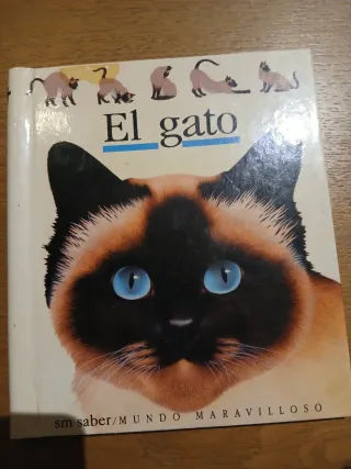 El Gato