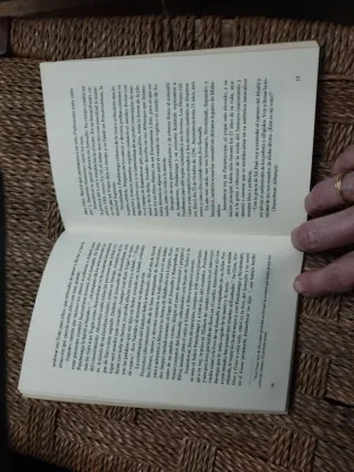 Amritanubhava Sublime experiencia de unidad