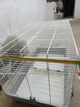 Jaula grande para ninfa