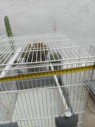 Jaula grande para ninfa