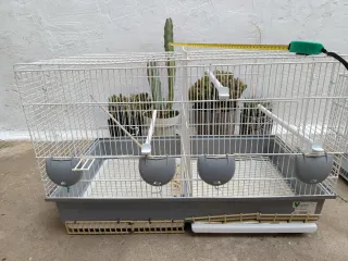 Jaula grande para ninfa