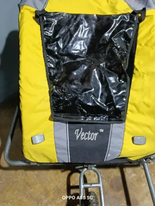 Remolque bici y silla paseo niños