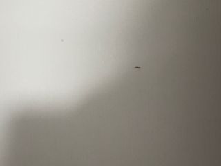 Escritorio de madera blanco y lila con cajones