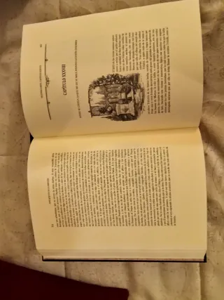 Lote de libros de Don Quijote de la Mancha