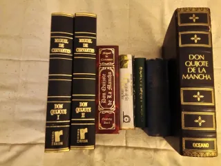 Lote de libros de Don Quijote de la Mancha
