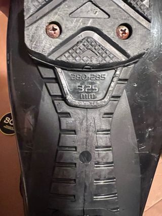 Botas de esquí Nordica