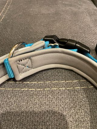 Correa y collar para perros