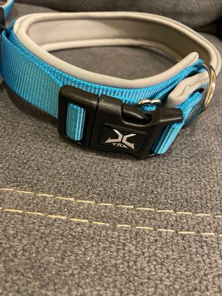 Correa y collar para perros