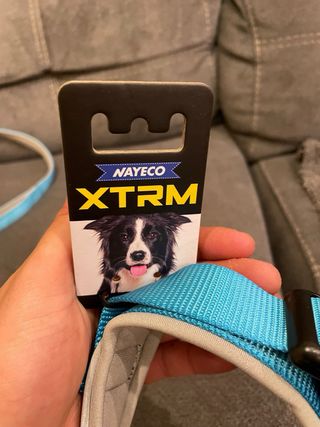 Correa y collar para perros