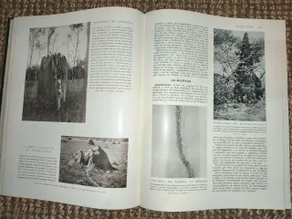 Libro Historia Natural (1947)