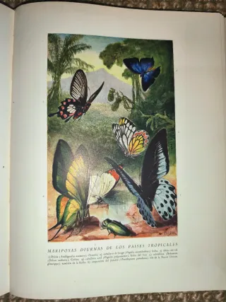 Libro Historia Natural (1947)