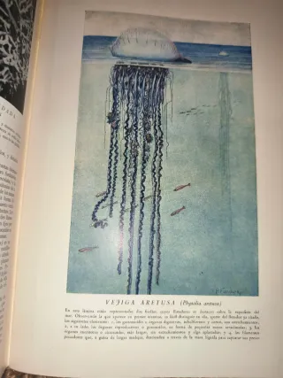Libro Historia Natural (1947)