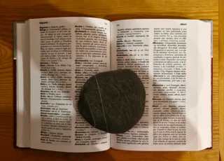 Diccionario Avanzado Sinnimos Y Antnimos De LA ...