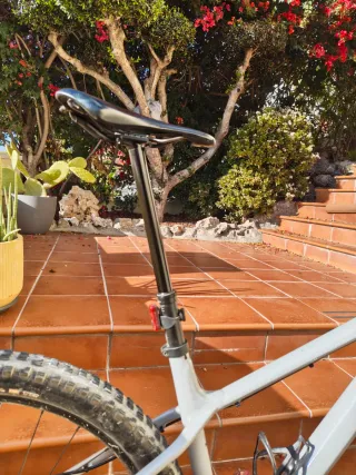 Canyon Stoic Talla L