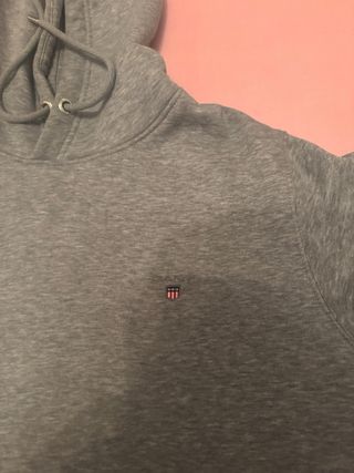 Sudadera Gant Gris Hombre