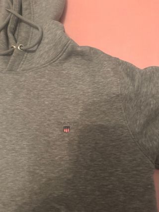 Sudadera Gant Gris Hombre