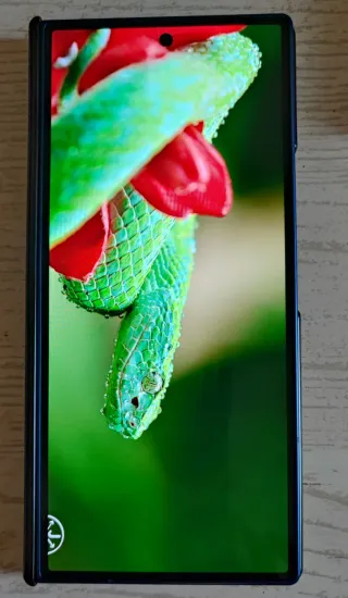 Samsung Galaxy Z Fold7 da 512 GB Blu