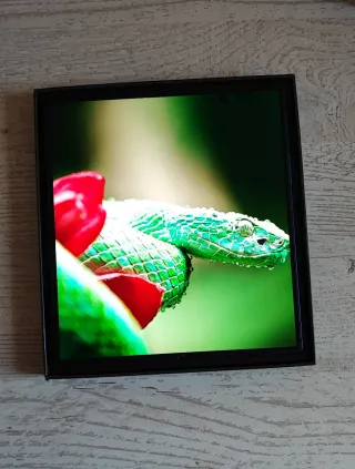 Samsung Galaxy Z Fold7 da 512 GB Blu