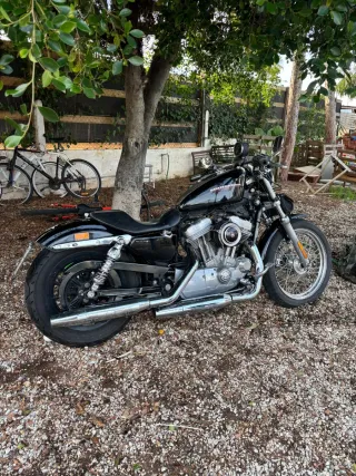 Harley-Davidson 883 - Muy cuidada