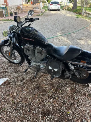 Harley-Davidson 883 - Muy cuidada