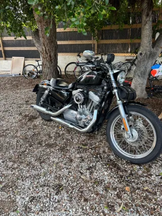 Harley-Davidson 883 - Muy cuidada