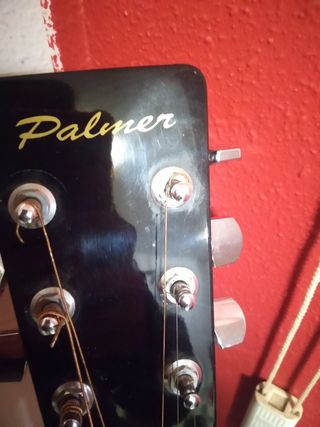 Guitarra Acústica Palmer