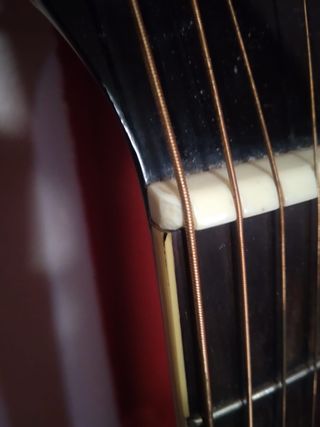 Guitarra Acústica Palmer