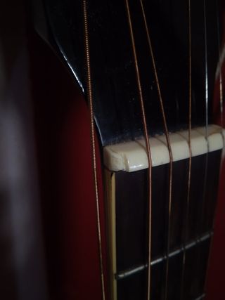 Guitarra Acústica Palmer