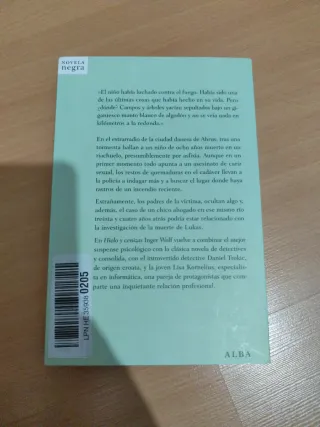 Hielo y cenizas (Novela negra) (Spanish Edition)