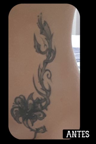 Tatuaje N#1 Tribal Flor Arreglo