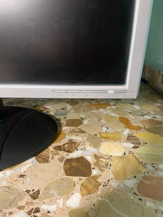 Monitor Philips 22 Plata/Negro