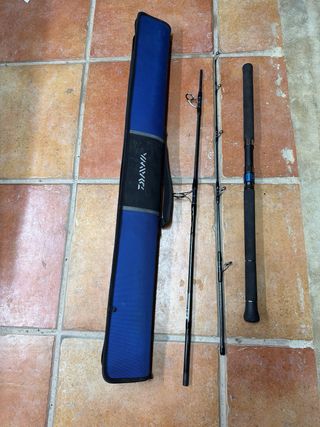 Caña Daiwa Saltiga Travel 20/80g
