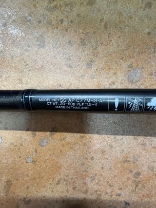 Caña Daiwa Saltiga Travel 20/80g