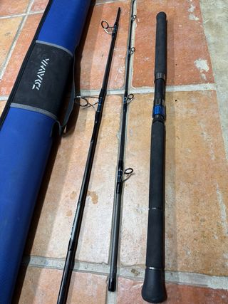 Caña Daiwa Saltiga Travel 20/80g