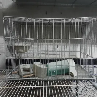 Jaula metálica para mascotas