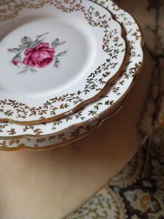 Vajilla Bidasoa Porcelana Rosa y Oro
