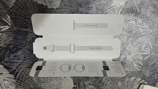 Apple Watch Gris/Plateado