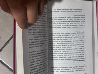 El diari de flanagan. Un libro en valenciano