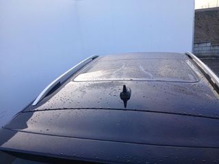 Volkswagen Tiguan Sport 1.5 TSI 110kW (150CV) DSG