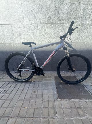 Bicicleta Nakamura Summit XL Gris