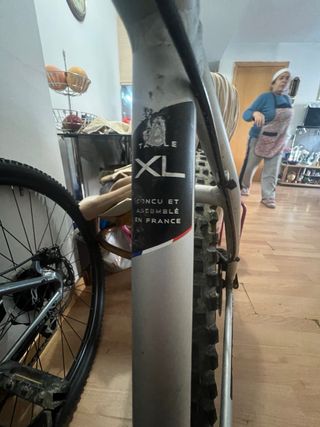 Bicicleta Nakamura Summit XL Gris