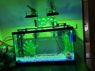 Acuario Beta 84L Negro y Transparente doble filtro