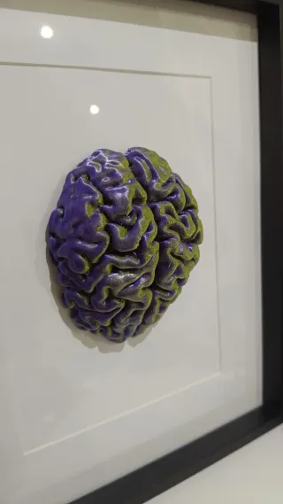 Quadro cervello bicolor verde e viola