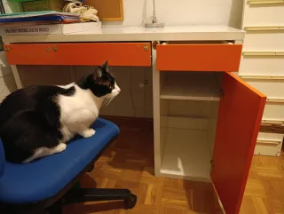 Escritorio Ikea Micke Naranja y Blanco