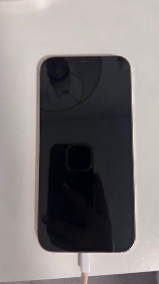 iPhone 12 Pro Max Dorado 128GB