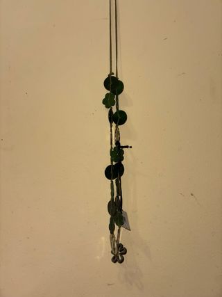 Collar Bimba & Lola verde y plateado