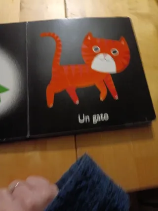 Mi primer libro de la noche