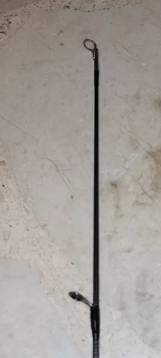 Caña de pescar de lance