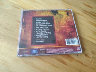 Mr. Big - What If... (CD 2011 - Hard rock)